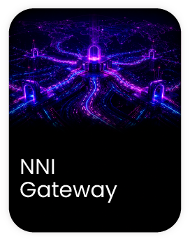 NNI gateway NNI Gateway